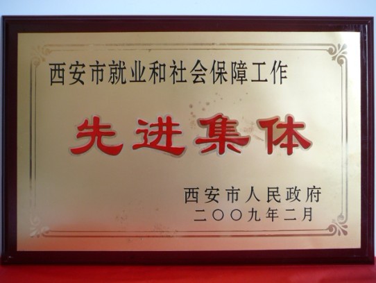 2009年2月，被西安市政府評為西安市就業和社會保障工作先進集體