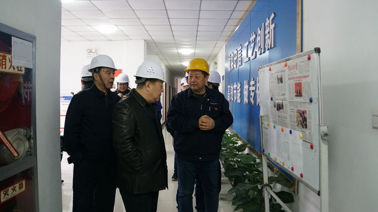 集團領導金輝帶隊赴標準電梯、標準熱處理進行工作調研